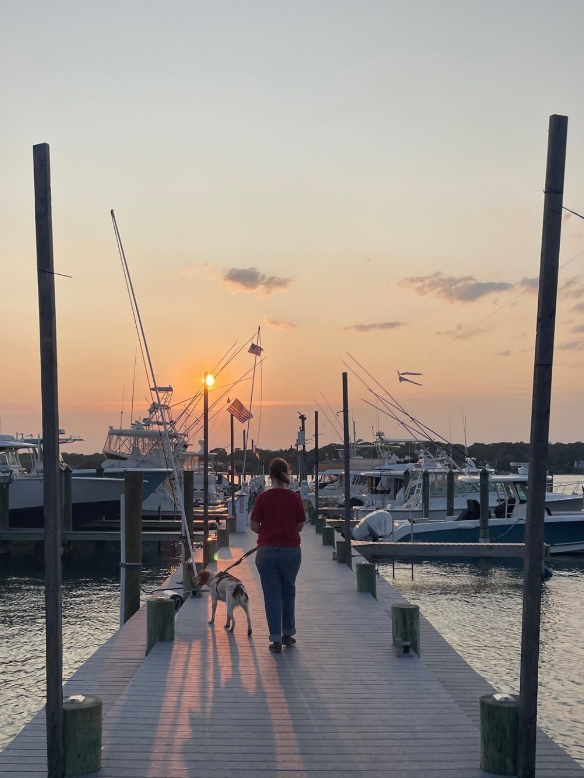 a person walking a dog on a dock